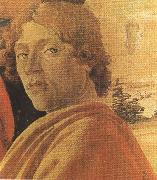 Sandro Botticelli Young man in a Yellow mantle (mk36) USA oil painting artist